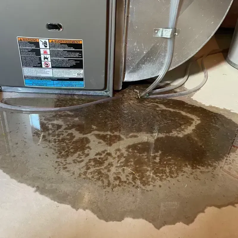 Appliance Leak Cleanup in Marion County, TN